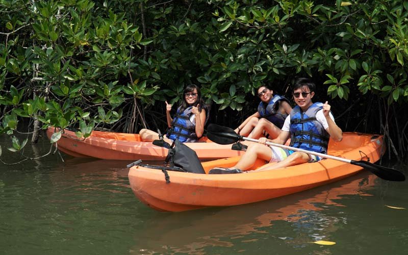 mangrove kayaking tour bintan