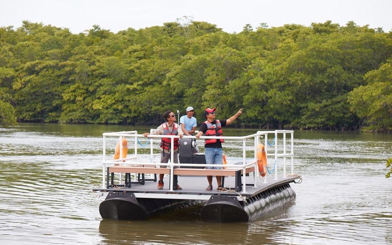 Mangrove Pontoon Cruise at best resort in bintan